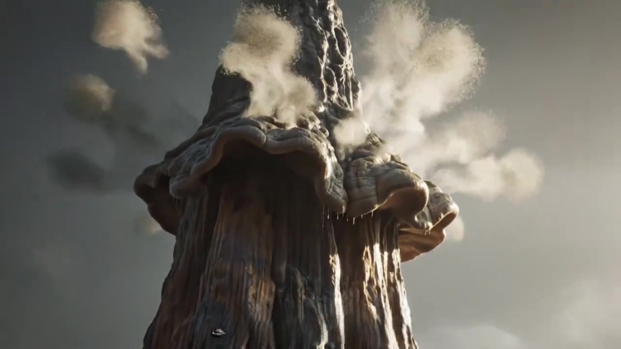 在树出现之前，地球曾被8米高的巨型蘑菇统治了5000万年699 / 作者:张立武 / 帖子ID:131192