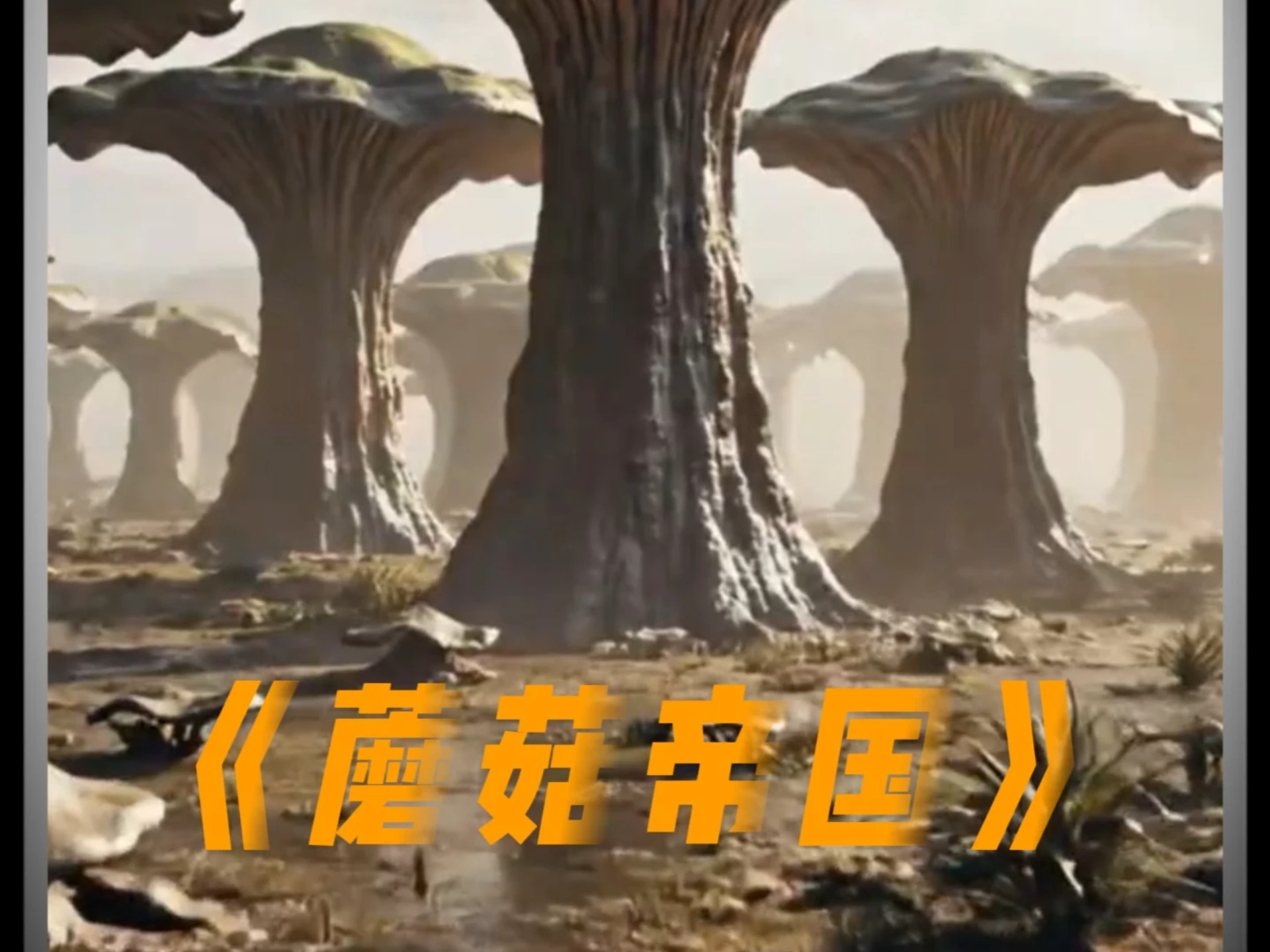 在树出现之前，地球曾被8米高的巨型蘑菇统治了5000万年816 / 作者:张立武 / 帖子ID:131192
