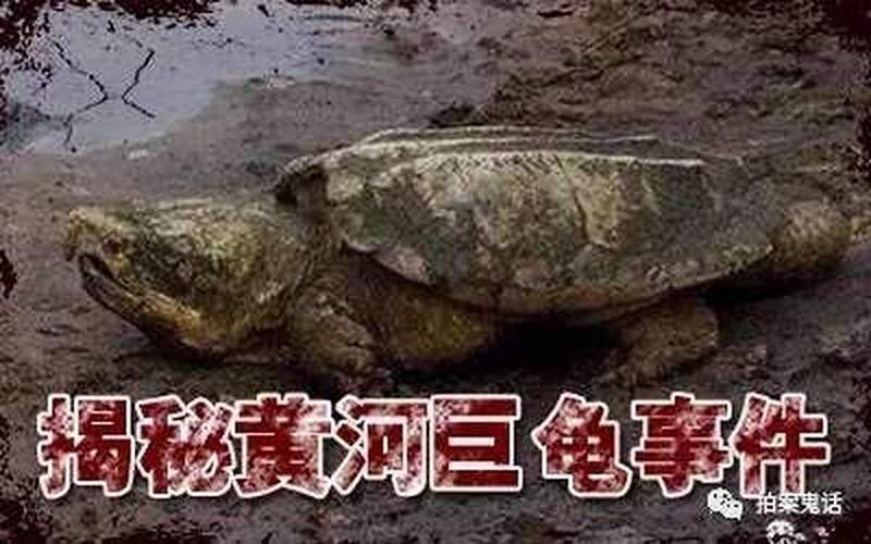 民间黄河巨龟事件的不同版本与真相揭秘800 / 作者:张立武 / 帖子ID:131184