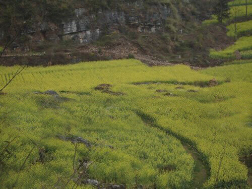 贵州反字岩传说：探寻失落的彝王宝藏之谜880 / 作者:张立武 / 帖子ID:131186