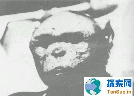1907年内蒙古野人事件真相与调查705 / 作者:张立武 / 帖子ID:131288