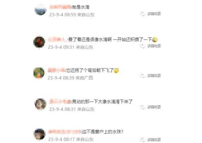 2023年济南不明飞行物事件：目击报告与调查分析708 / 作者:单丁鹤纷 / 帖子ID:131106