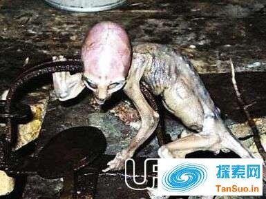 1983年俄罗斯外星婴儿事件真相:巴西外星弃婴是真是假?321 / 作者:张立武 / 帖子ID:131344 1983年俄罗斯外星婴儿事件真相:巴西外星弃婴是真是假?321 / 作者:张立武 / 帖子ID:131344