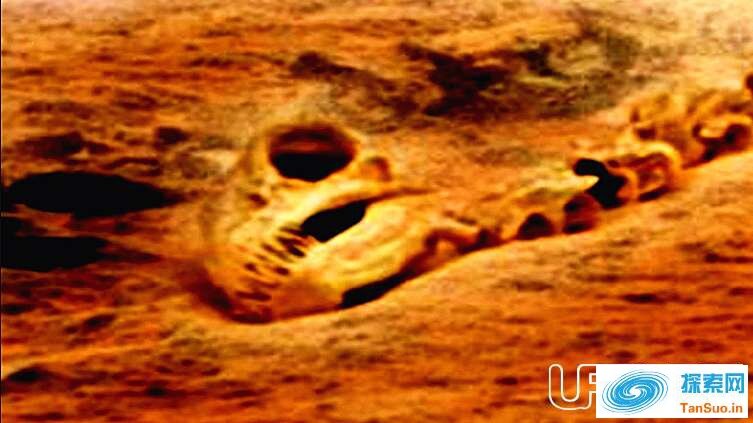火星发现恐龙化石？未知生物骨骸引发科学界关注6 / 作者:张立武 / 帖子ID:131343