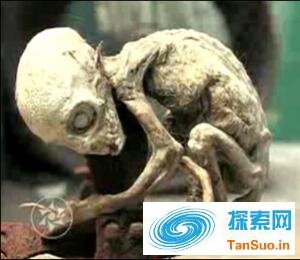 1983年俄罗斯外星婴儿事件真相:巴西外星弃婴是真是假?836 / 作者:张立武 / 帖子ID:131344 1983年俄罗斯外星婴儿事件真相:巴西外星弃婴是真是假?836 / 作者:张立武 / 帖子ID:131344