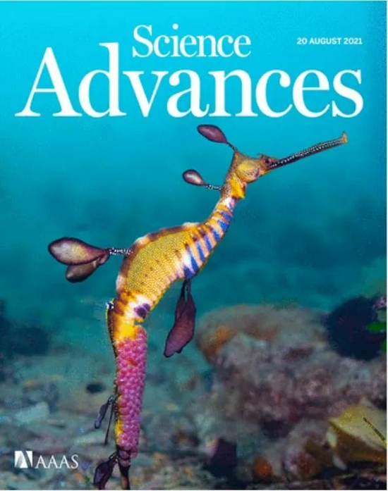 海里真的有龙吗？探索海洋神秘生物与传说真相372 / 作者:张立武 / 帖子ID:131477