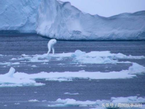 南极神秘的30米高巨型人类 据称是日本实验人造生命体 