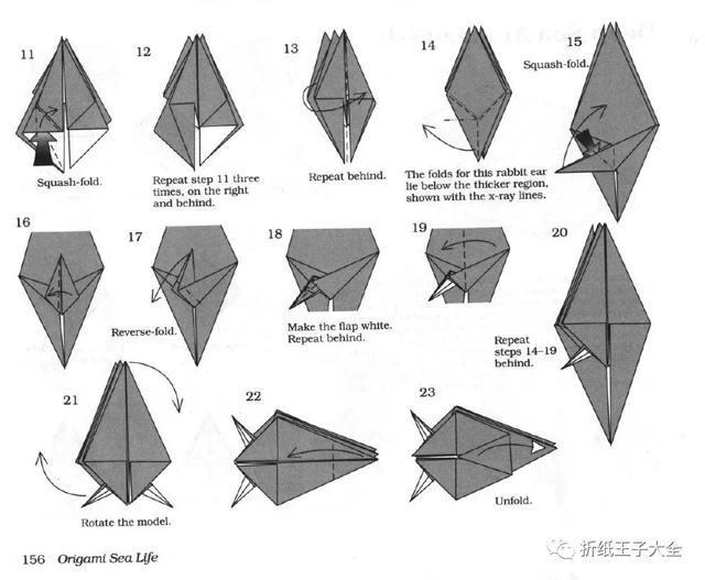 深海琵琶鱼_深海琵琶鱼图片448 / 作者:UFO爱好者 / 帖子ID:98993