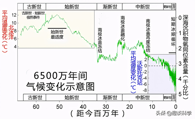 大蟒蛇图片_大蟒蛇图片 巨型491 / 作者:UFO爱好者 / 帖子ID:99357