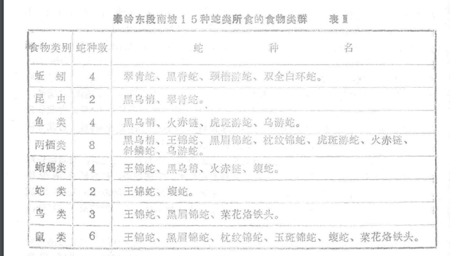 中国巨蛇_中国巨蛇600岁734 / 作者:UFO爱好者 / 帖子ID:97330