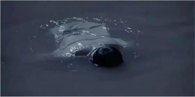 灵异事件_灵异事件真实案例大全885 / 作者:UFO爱好者 / 帖子ID:98269