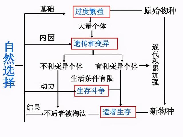 巴西蛇岛_巴西蛇岛纪录完整视频594 / 作者:UFO爱好者 / 帖子ID:98616