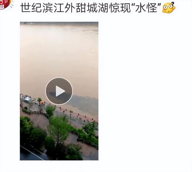 喀纳斯湖水怪_喀纳斯湖水怪真相大白115 / 作者:UFO爱好者 / 帖子ID:100614