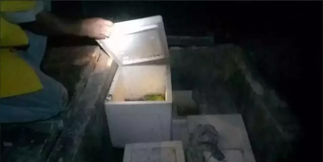 泰国小鬼_泰国小鬼图片592 / 作者:UFO爱好者 / 帖子ID:97619