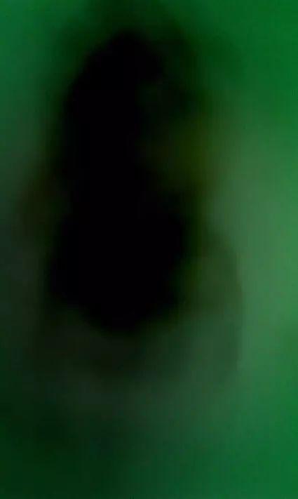 灵异照片_灵异照片吓死20万人47 / 作者:UFO爱好者 / 帖子ID:98267