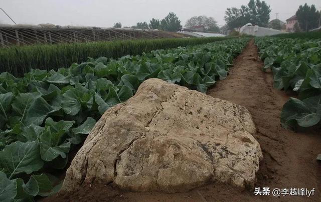 中国最高的山脉_中国最高的山脉是哪个山脉572 / 作者:UFO爱好者 / 帖子ID:100858