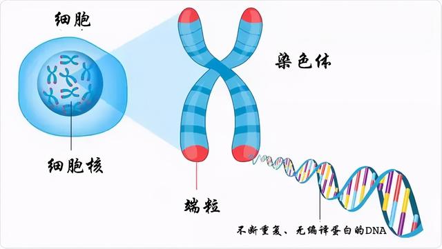 吉尼斯世界纪录最长寿的人_世界吉尼斯世界纪录最长寿的人203 / 作者:UFO爱好者 / 帖子ID:103024