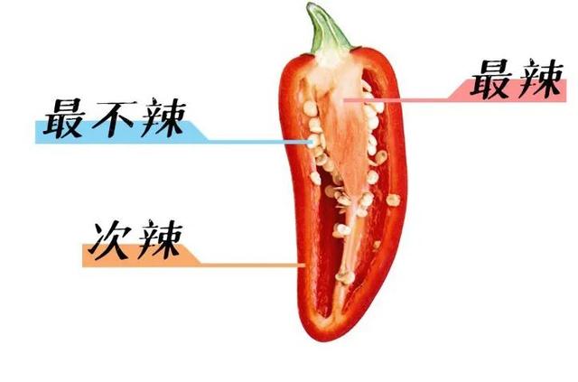 卡罗莱纳死神辣椒_卡罗莱纳死神辣椒的生长过程图解688 / 作者:UFO爱好者 / 帖子ID:102259