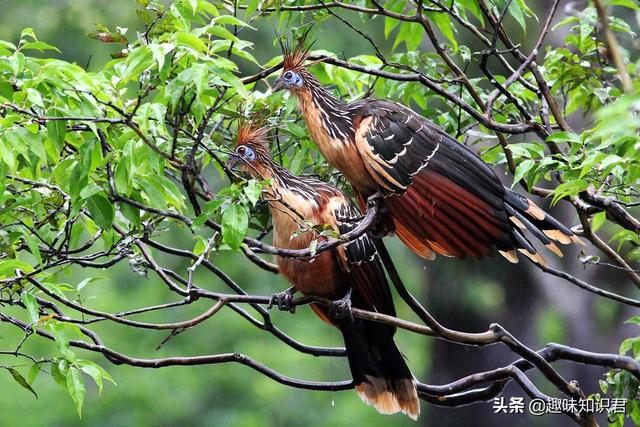 奇闻异事_奇闻异事录636 / 作者:UFO爱好者 / 帖子ID:98092 奇闻异事_奇闻异事录636 / 作者:UFO爱好者 / 帖子ID:98092