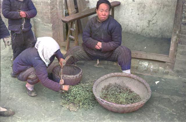 1942年河南大饥荒_1942年河南大饥荒饿死人数571 / 作者:UFO爱好者 / 帖子ID:102877