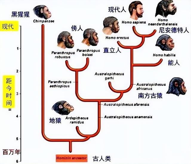 长尾巴的人_长尾巴的人图片212 / 作者:UFO爱好者 / 帖子ID:98757