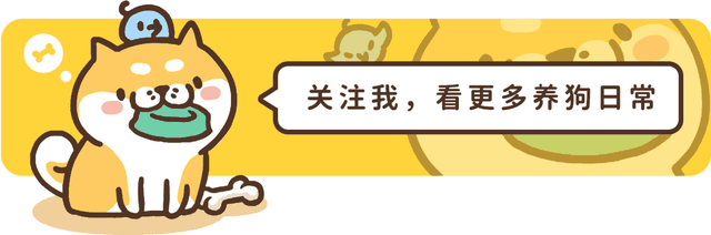 最大的狗_最大的狗排名776 / 作者:UFO爱好者 / 帖子ID:97298