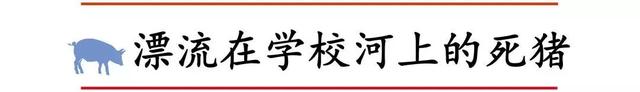 江西十大灵异事件_江西十大灵异事件视频925 / 作者:UFO爱好者 / 帖子ID:106749