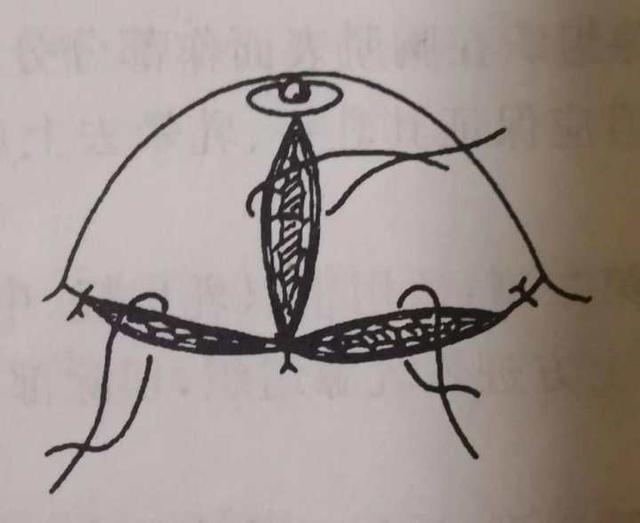 最大的乳房_5 / 作者:UFO爱好者 / 帖子ID:98692