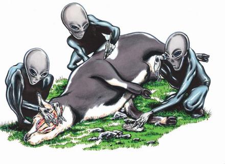 屠牛事件_屠牛事件真相456 / 作者:UFO爱好者 / 帖子ID:97525