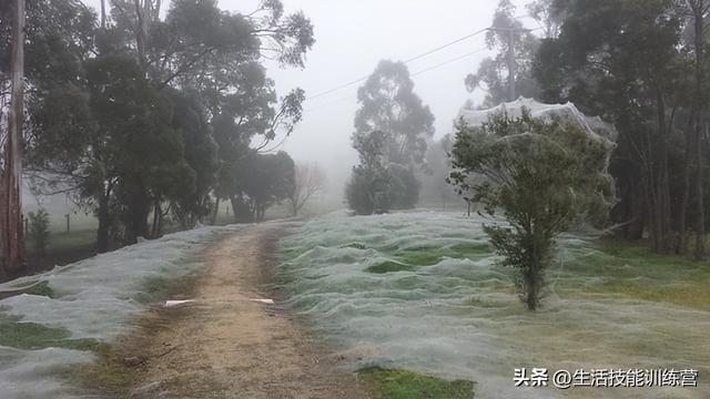 史上十张最诡异的照片_史上十张最诡异的照片之一578 / 作者:UFO爱好者 / 帖子ID:103451