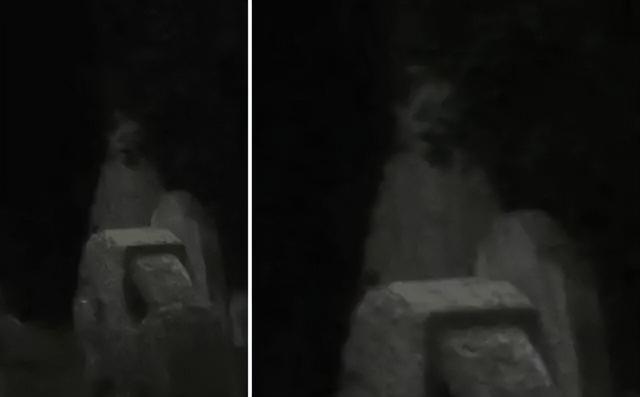 灵异照片_灵异照片吓死20万人787 / 作者:UFO爱好者 / 帖子ID:98267