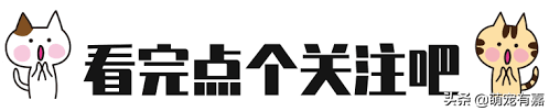 黑猫进屋是什么征兆_梦见黑猫进屋是什么征兆729 / 作者:UFO爱好者 / 帖子ID:105123