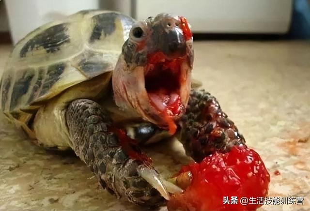 灵异照片_灵异照片吓死20万人232 / 作者:UFO爱好者 / 帖子ID:98267