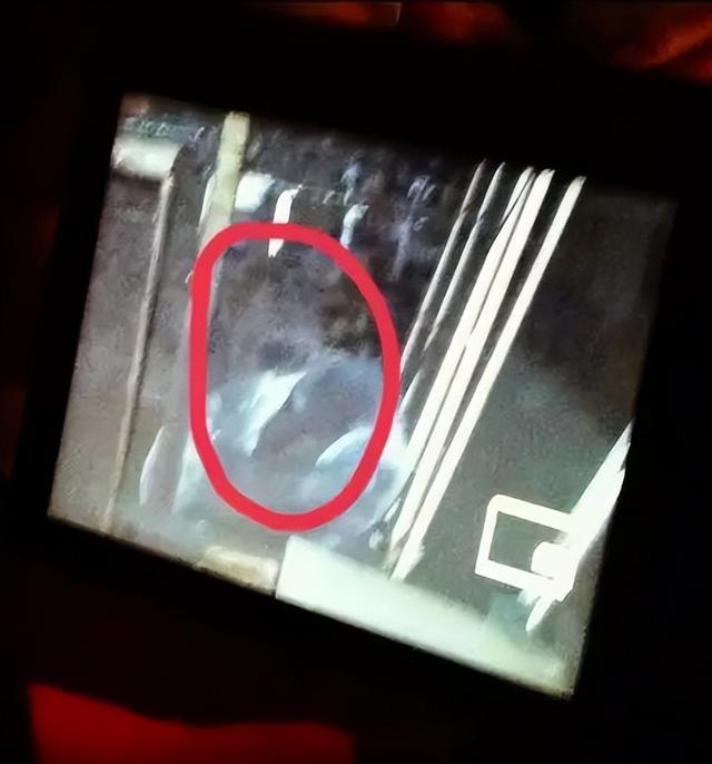 灵异照片_灵异照片吓死20万人852 / 作者:UFO爱好者 / 帖子ID:98267