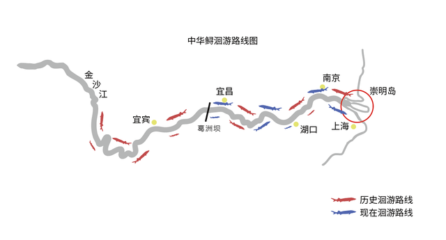 最大的鱼是什么鱼_世界上最大的鱼是什么鱼532 / 作者:UFO爱好者 / 帖子ID:101753