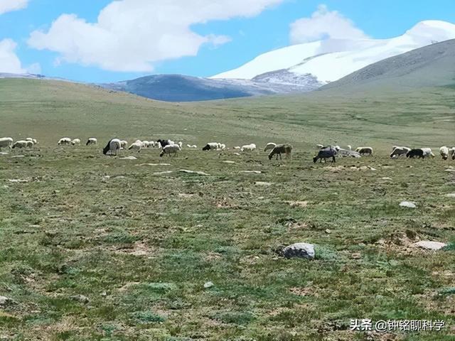 昆仑山地狱之门_昆仑山地狱之门事件239 / 作者:UFO爱好者 / 帖子ID:101603