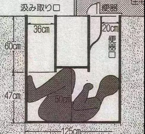 奇闻轶事_奇闻轶事读音522 / 作者:UFO爱好者 / 帖子ID:98098