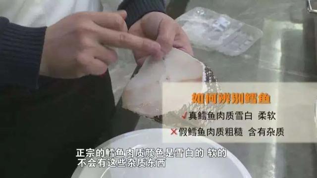 棘鳞蛇鲭_棘鳞蛇鲭图片670 / 作者:UFO爱好者 / 帖子ID:98377