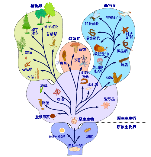 世界上年龄最大的蛇_世界上年龄最大的蛇1687岁70 / 作者:UFO爱好者 / 帖子ID:102542