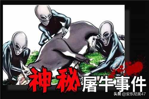屠牛事件_屠牛事件真相601 / 作者:UFO爱好者 / 帖子ID:97525