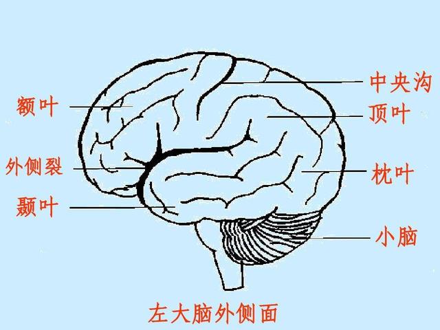 鬼是真实存在的吗_养小鬼是真实存在的吗935 / 作者:UFO爱好者 / 帖子ID:106007