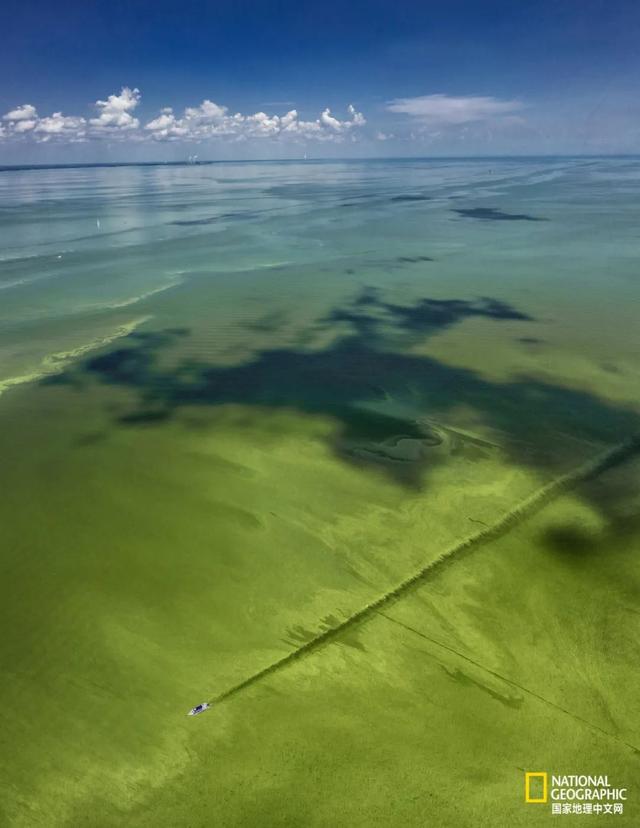 世界上最大的淡水湖是_世界上最大的淡水湖是哪个505 / 作者:UFO爱好者 / 帖子ID:103817