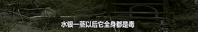 湘西赶尸_湘西赶尸人658 / 作者:UFO爱好者 / 帖子ID:97497