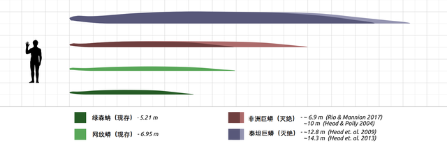 中国巨蛇_中国巨蛇600岁281 / 作者:UFO爱好者 / 帖子ID:97330