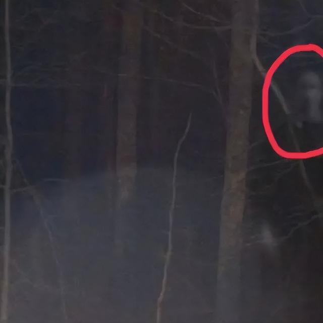 灵异照片_灵异照片吓死20万人319 / 作者:UFO爱好者 / 帖子ID:98267