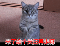 最大的狗_最大的狗排名274 / 作者:UFO爱好者 / 帖子ID:97298