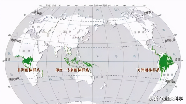 大蟒蛇图片_大蟒蛇图片 巨型890 / 作者:UFO爱好者 / 帖子ID:99357