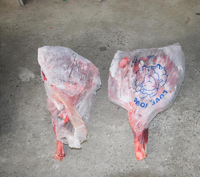 吸血鬼鹿_吸血鬼鹿是什么动物173 / 作者:UFO爱好者 / 帖子ID:97491