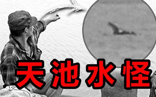 天池水怪_天池水怪图片546 / 作者:UFO爱好者 / 帖子ID:97617