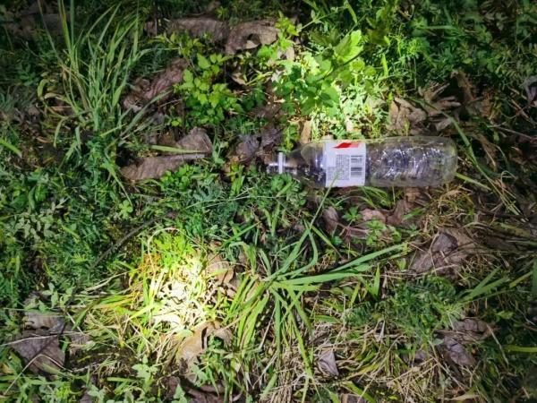 最毒的蛇_最毒的蛇排名第一313 / 作者:UFO爱好者 / 帖子ID:97301